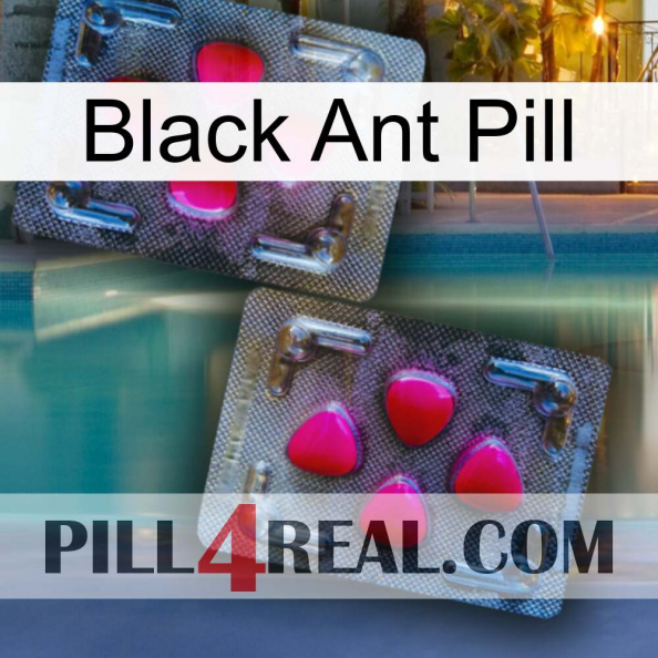 Black Ant Pill 15.jpg